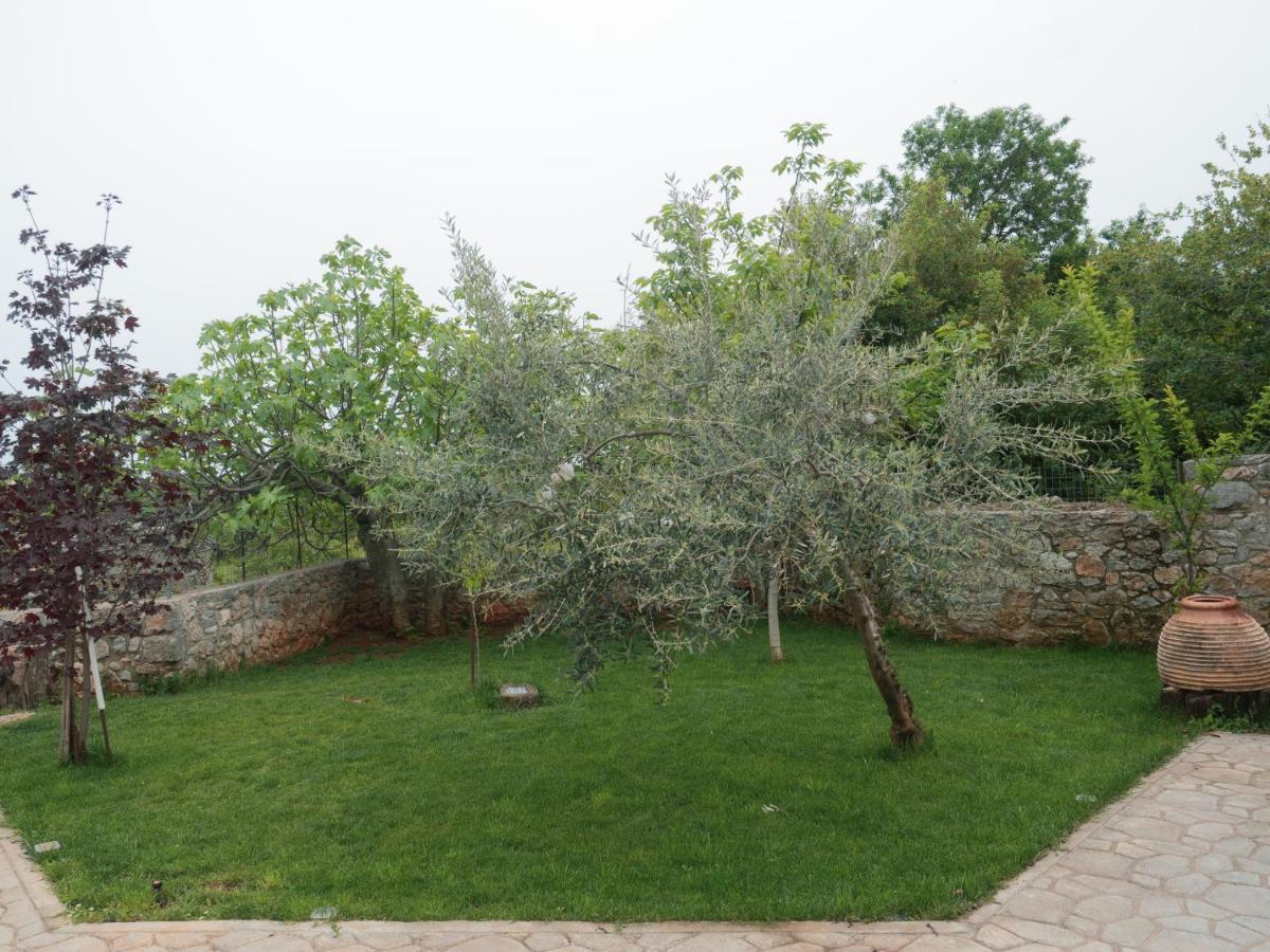 Vintage Stone-Built Country Cottage In Richea Kouloureika Eksteriør billede